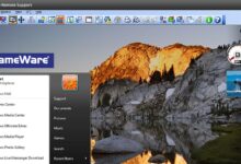 DameWare Remote Support ghRr2j
