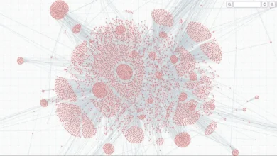 image 6 b295f2dc60 1024x522 Q4AgcI